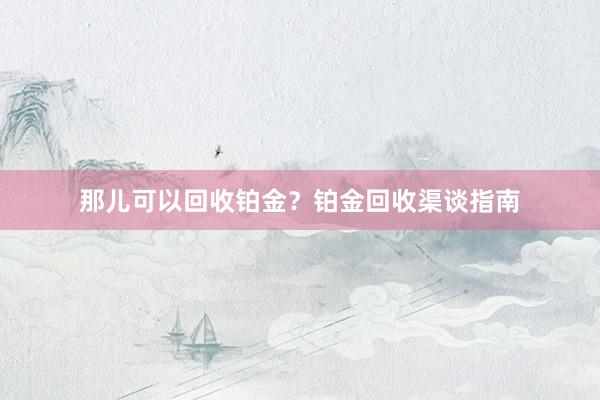 那儿可以回收铂金？铂金回收渠谈指南